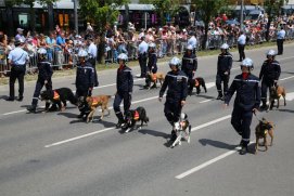 Fédération Nationale des Pompiers